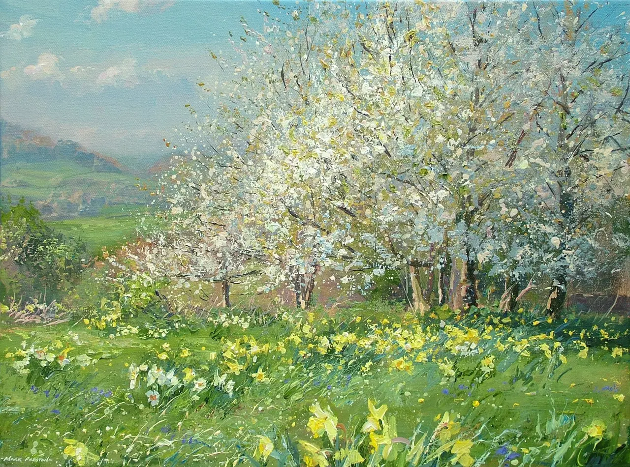 Mark Preston - daffodils and wild cherry blossom, ashleyhay